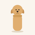 Biscuit the Dog